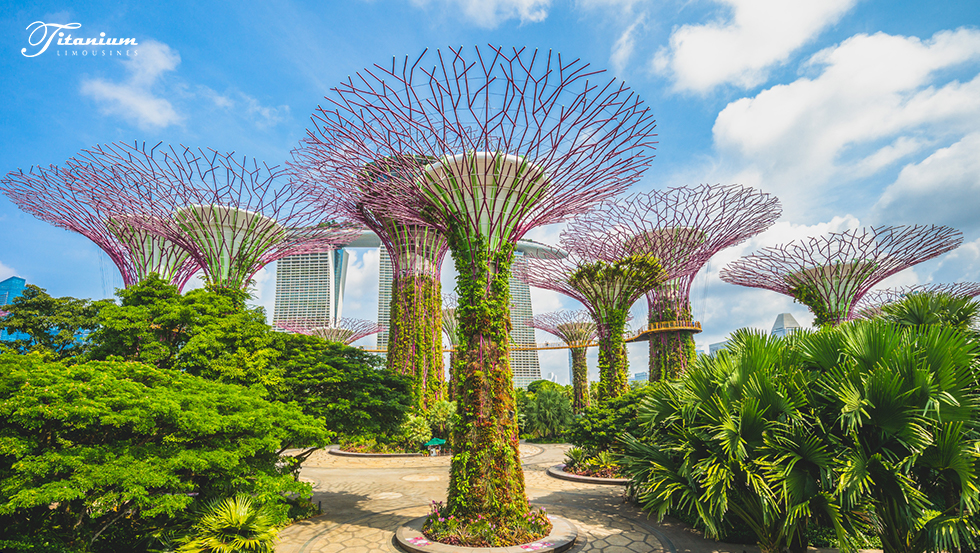 Image of Gardens by the Bay